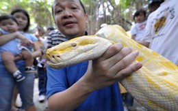 Ngày "Thế giới động vật"